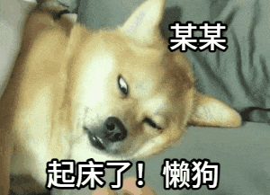 点击进入“一巴掌打醒懒狗柴犬”表情图制作 一巴掌打醒懒狗柴犬表情图制作