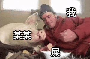 点击进入“外国男子拿食物喂猪表情”表情图制作 外国男子拿食物喂猪表情表情图制作