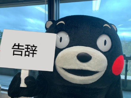 点击进入“熊本熊举牌表情”表情图制作 熊本熊举牌表情表情图制作